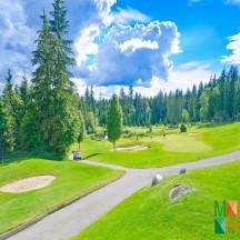 Tranh dán tường Hàn Quốc 3d khổ lớn ở Hà Nội NA - 453